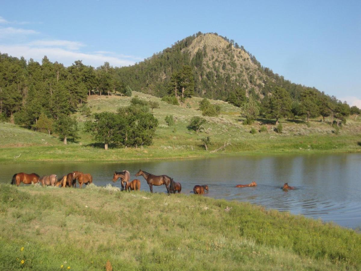Devils Tower Lake Guest Ranch 빌라 외부 사진