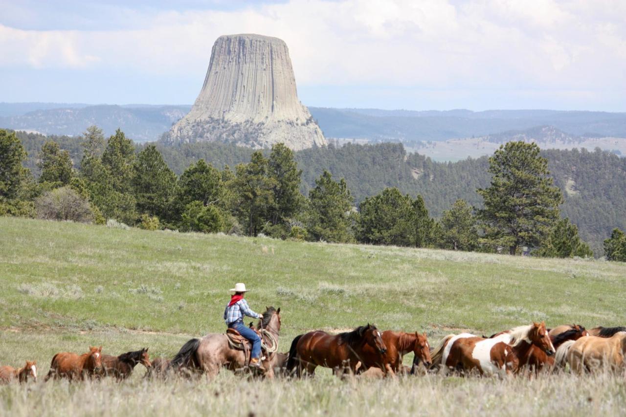 Devils Tower Lake Guest Ranch 빌라 외부 사진